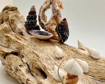 Handmade Driftwood Nativity Scene with Seashell Figures: Coastal Christmas Decor