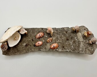 Handmade Seashell and Beach Stone Nativity Scene: Coastal Christmas Decor