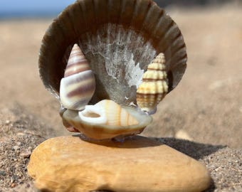 Handmade Beach Stone Nativity Scene, Seashell Figures, Coastal Christmas Decor