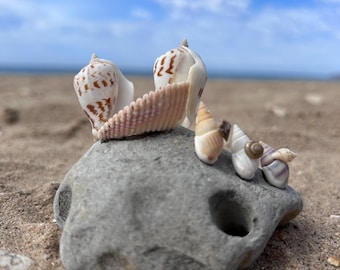 Handmade Seashell and Beach Stone Nativity Scene: Coastal Christmas Decor