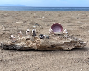 Handmade Driftwood and Seashell Nativity Scene: Coastal Christmas Decor