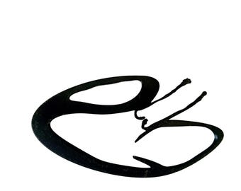 3D transthorakala ekomodeller