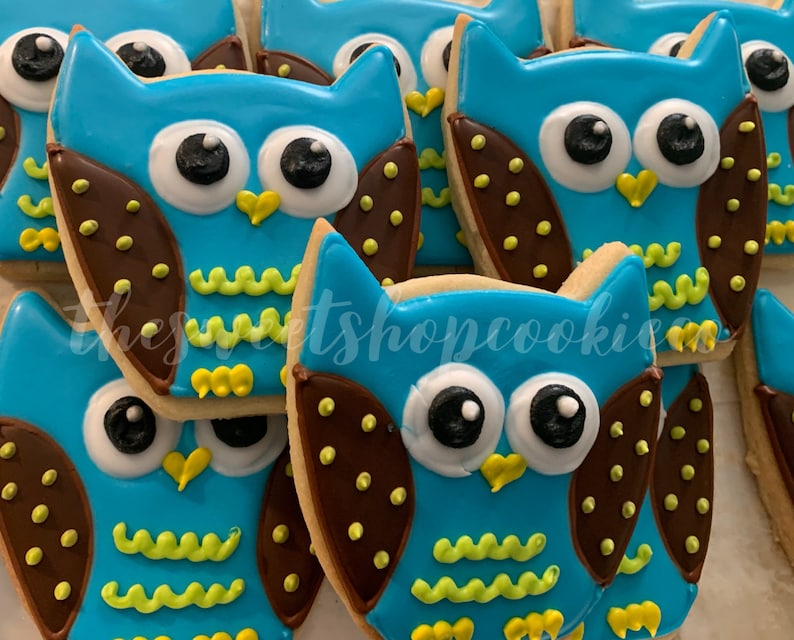 Colorful Owl Cookies 1 dozen image 1