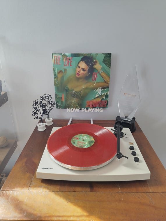 3D Printed Vinyl Record Shelf | 'NOW PLAYING' Album Display