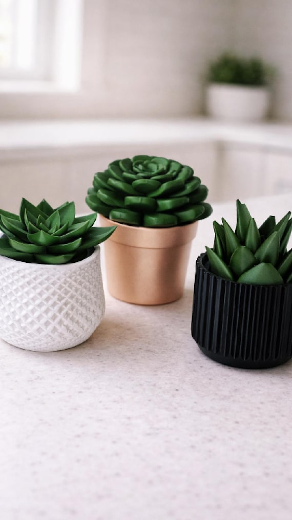 Succulent Fruit Fly Trap
