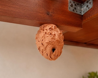 Fake Wasp Nest Deterrent | Realistic 3D Printed Wasp Decoy for Porch, Patio, Deck & Garden