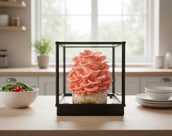 Kit de culture de champignons intelligents - Chambre de fructification de champignons