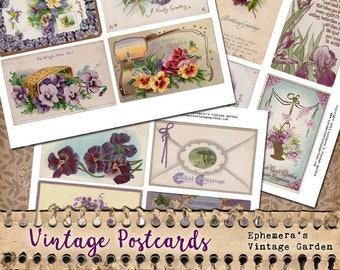 Vintage Flower Postcards - Purple