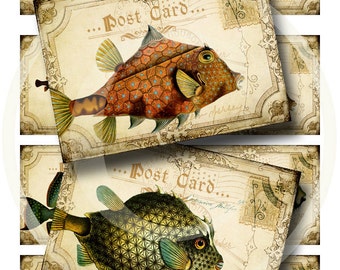 Silly Fish Postcard ATC's - Digital Collage Sheet