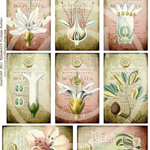 Botanical Whimsy Hang Tags - Digital Collage Sheet