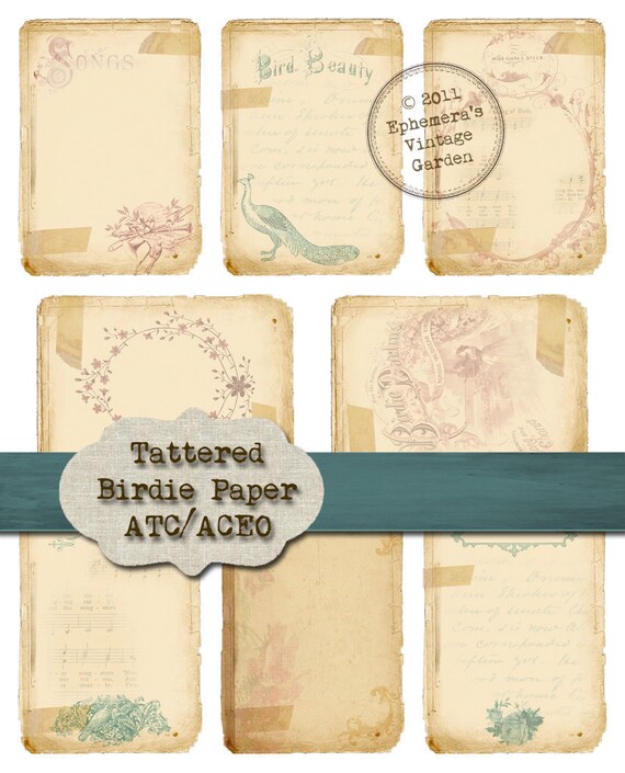 tattered paper and birds