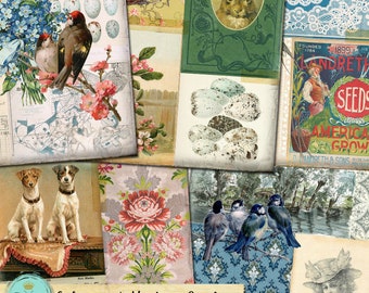 Könnte beinhalten: Eine digitale Collage aus Vintage-Bildern mit Vögeln, Blumen, Eiern, einem Kaninchen und einem floral gemusterten Stoff. Die Collage trägt den Titel "Ephemera's Vintage Garden".