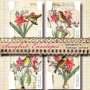 Songbird Envelopes