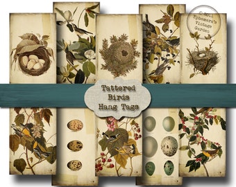 Tattered Birds Hang Tags - Digital Collage Sheet - gift tags vintage bird nests eggs nature altered art