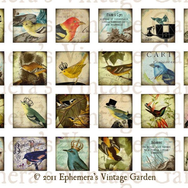 Printable Vintage Bird Inchies  - Digital Collage MINI SHEET - jewelry pendant 1x1 inch squares