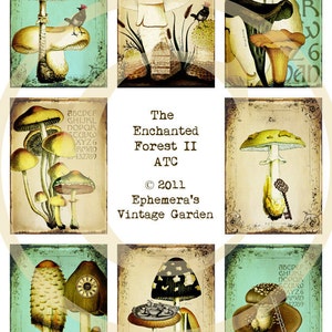 Whimsical Mushrooms ATC Enchanted Forest II Digital Collage Sheet image 2