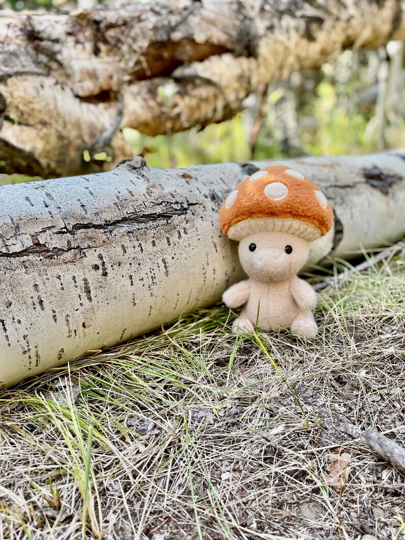 Op de afbeelding: Een vilten paddestoel knuffel met een beige lichaam en een bruine hoed met witte stippen. Het speelgoed staat op de grond in de buurt van een gevallen boomstam. De achtergrond is wazig, wat wijst op een natuurlijke buitenomgeving.