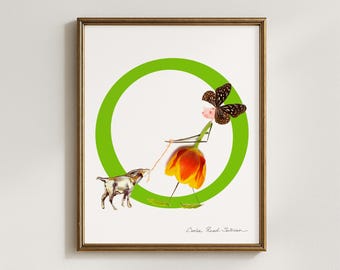 Floral Letter O Art Print, Botanical Alphabet Initial (5x7, 8x10, 11x14, 16x20)