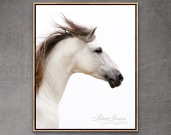 May include: A framed print featuring a white horse's head and neck against a white background. The horse has a flowing, dark mane and a light brown wooden frame. The text "Living Images" is in the bottom right corner.