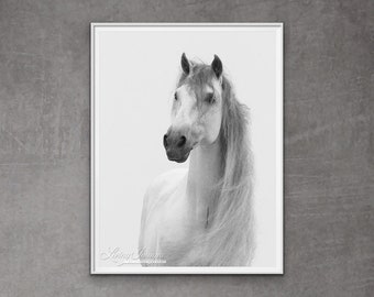 Horse Photography White Spanish Stallion Print - “Andalusian Stallion's Mane”