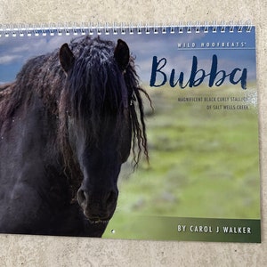 Wild Horse 2024 Wall Calendar Discounted Bubba: Wild Stallion of Salt Wells Creek 50% Off Discount image 3