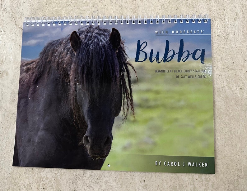 Wild Horse 2024 Wall Calendar Discounted Bubba: Wild Stallion of Salt Wells Creek 50% Off Discount image 3