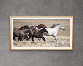 Wild Horse Photography Wild Horse Adobe Town Print - “Wild Adobe Town Family Runs”