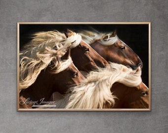 Horse Photography Draft Horses Running Print - “Big Mares Run”