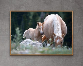 Wild Horse Photography Palomino Mare and Foal Print - “Palomino Mare and Foal”