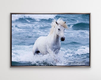 Horse Photography White Camargue Stallion Print - “White Stallion in the Waves”