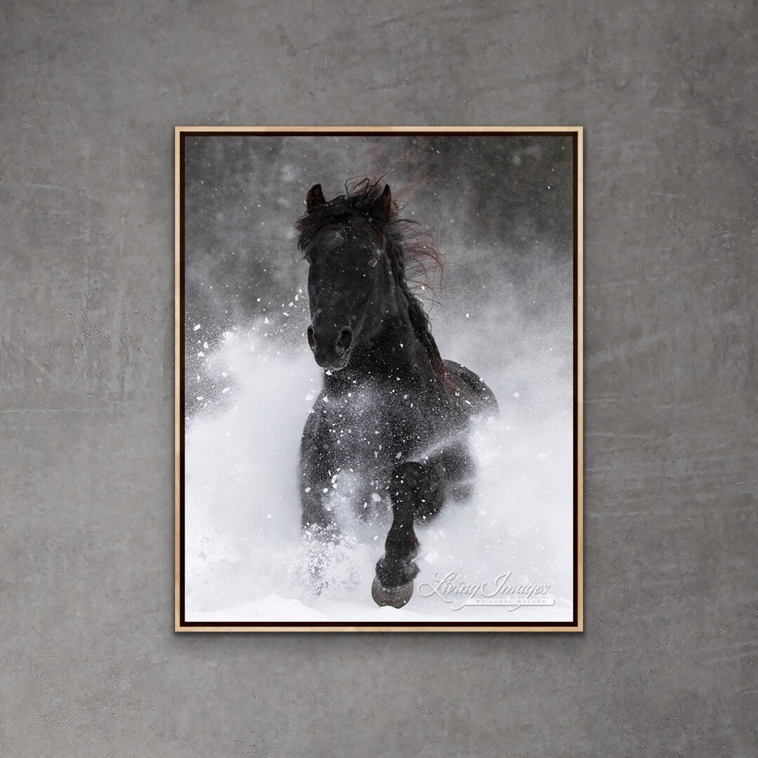 Horse Photography Snowy Horse Running Print stallion Runs in the Snow ...