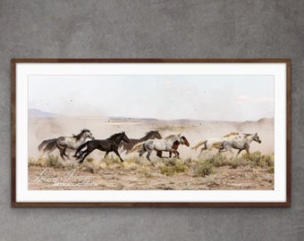 Wild Horse Photography Wild Adobe Town Horses Running - “Stallions Released II”