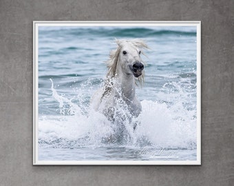 Wild Horse Photography White Camargue Stallion Print - “Wild White Splash”