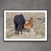 see more listings in the Wild Horse Prints section