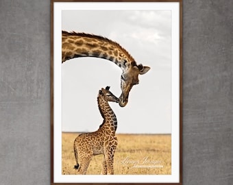 Wildlife Photography Giraffe Nursery Print - “Giraffe's First Kiss”