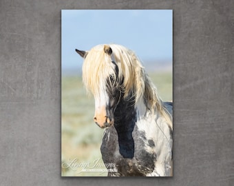 May include: A framed print featuring a wild horse with a striking coat of black, white, and gray. The horse has a long, flowing, cream-colored mane and forelock. The background shows a field and a clear blue sky. The print is labeled "Living Images".