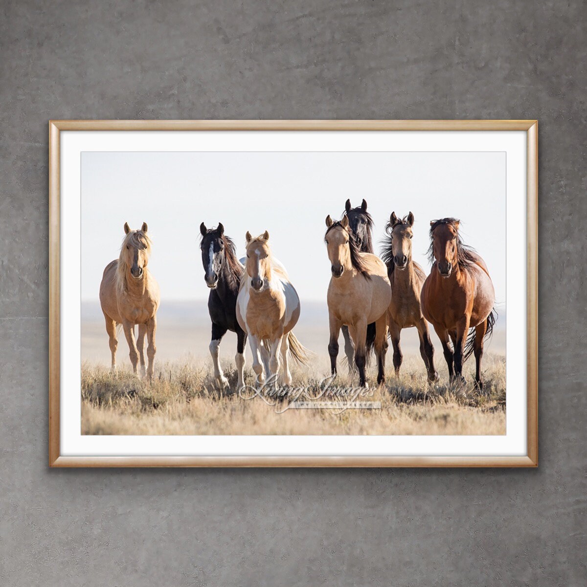 Wild Horse Photography Wild Palomino Stallion’s Family Band Print - “Tyr’s Family”