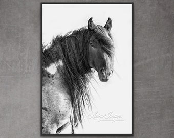 Wild Horse Photography Wild Roan Stallion Blue Zeus Print - “Wild Blue Roan Stallion”