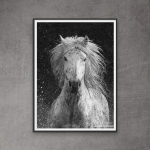 Wild Horse Photography White Camargue Horse Running Print - “Splash”