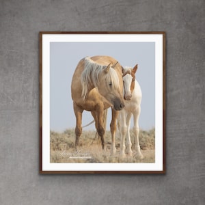 Wild Horse Photography Wild Palomino Mare and Medicine Hat Foal Print - “Angel and Romeo”