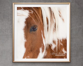 Horse Photography Red Pinto Horse Eye Print - “Chief Comes Close”