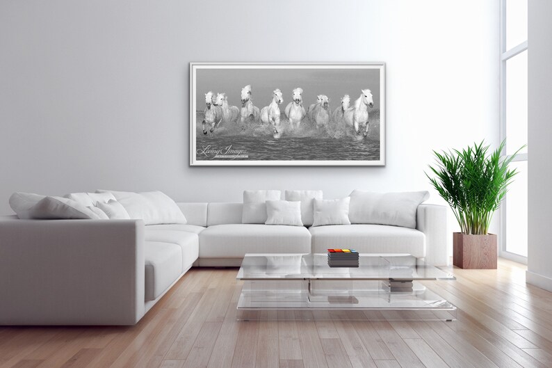 Wild Horse Photography White Camargue Horses Print Camargue Horses Running image 3