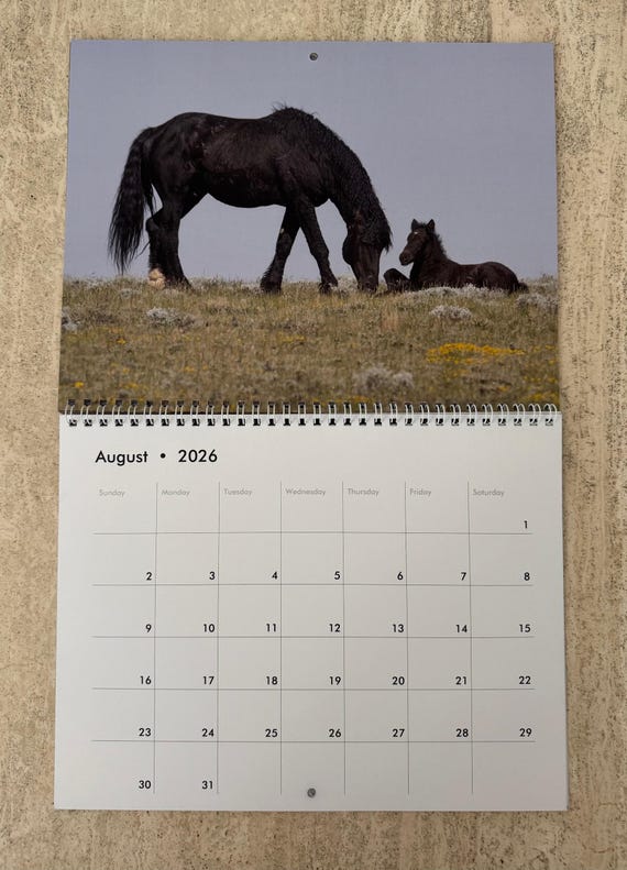 MarbleCityPress Horses Calendar 2025 | Horses: Wild At Heart | 12