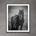 see more listings in the Wild Horse Prints section