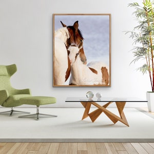 Wild Horse Photography Wild Horse Mare and Foal Print Nuzzle image 3