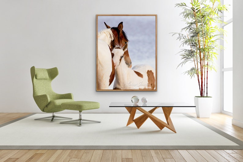 Wild Horse Photography Wild Horse Mare and Foal Print Nuzzle image 3