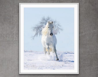 Horse Photography White Andalusian Stallion Snow Print - “Snow Stallion and the Tree”