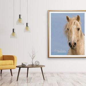 May include: A framed photograph of a light brown horse with a white mane and tail. The horse is looking directly at the camera. The background is a light blue sky. The frame is gold and has a white mat. The text "Living Images" is printed in the bottom left corner of the image.