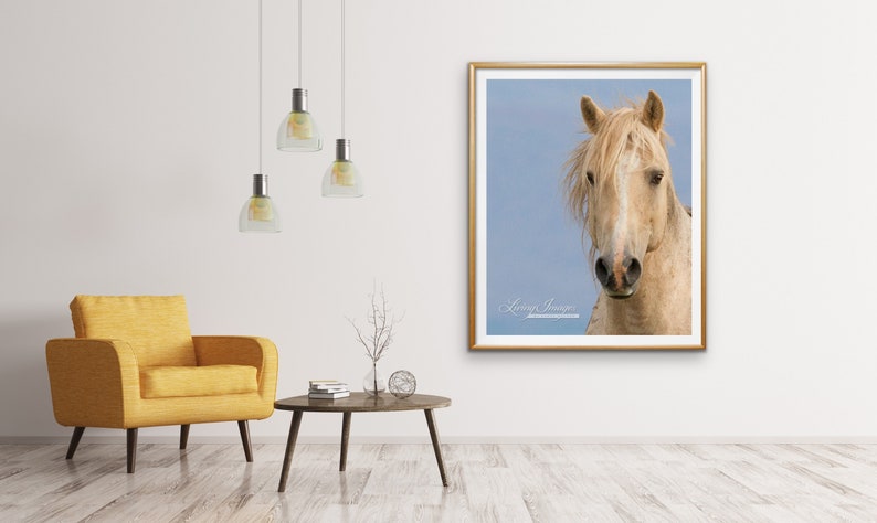 May include: A framed photograph of a light brown horse with a white mane and tail. The horse is looking directly at the camera. The background is a light blue sky. The frame is gold and has a white mat. The text "Living Images" is printed in the bottom left corner of the image.