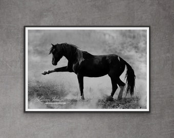 Wild Horse Photography Wild Pinto Stallion Print - “Wild Spanish Walk”